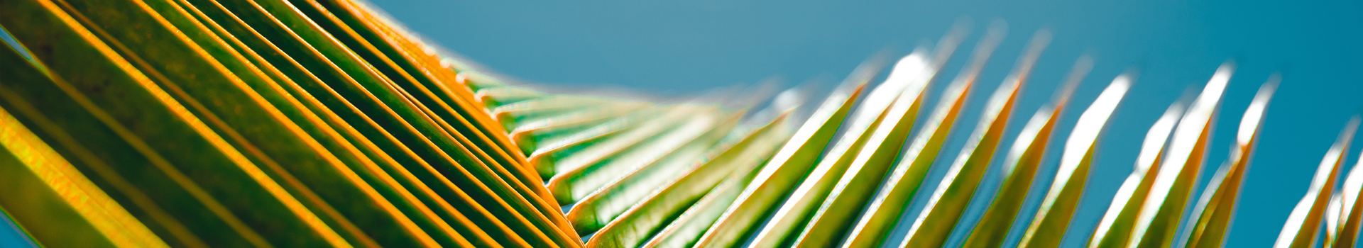 Example finished new build garden with seating and lawn