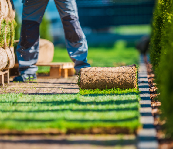 Signature premium garden design for new build home