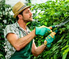 Essential garden package with fresh lawn and small patio