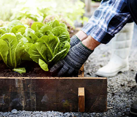 Family garden package with patio lawn and planting beds