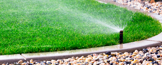 Signature garden package with premium patio and feature planting